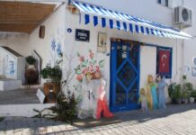 Native Animals Horses and Buffaloes