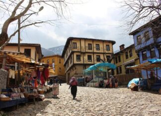 Demosthenes Life and Death