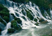 Public Appearances of the Grand Signior